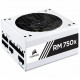 Corsair 80 PLUS Gold Fully Modular ATX Power Supply (EU) | RM750x SHIFT | 750 W