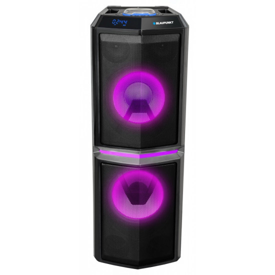 Audio system PS10DB LED Karaoke