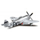 TAMIYA P-47D Thunderbolt Bubbletop