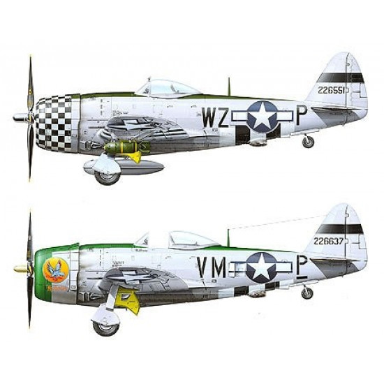 TAMIYA P-47D Thunderbolt Bubbletop