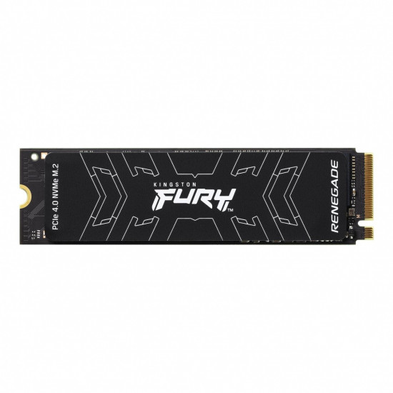 SSD drive FURY Renegade 1000G PCIe 4.0 NVMe M.2