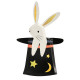 Shaped Plates Bunny In Hat