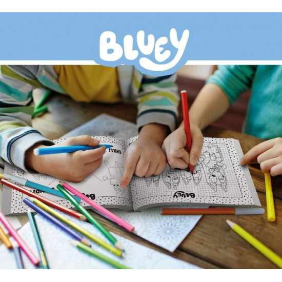 Bluey Drawing School Set