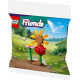 Bricks Friends 30659 Flower Garden