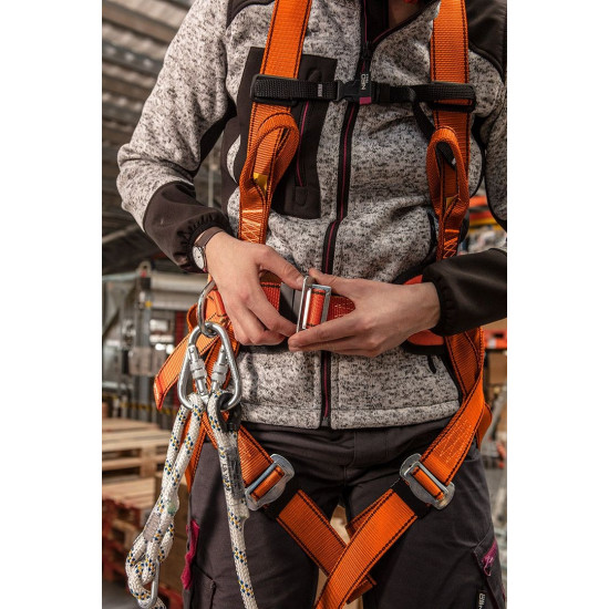 Belay kit with waist belt and shock absorber