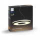 Philips Hue White Ambiance Being Pendelleuchte Schwarz 3000lm inkl DS