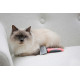 KERBL Soft Cat Brush with Comb - 16x16 cm