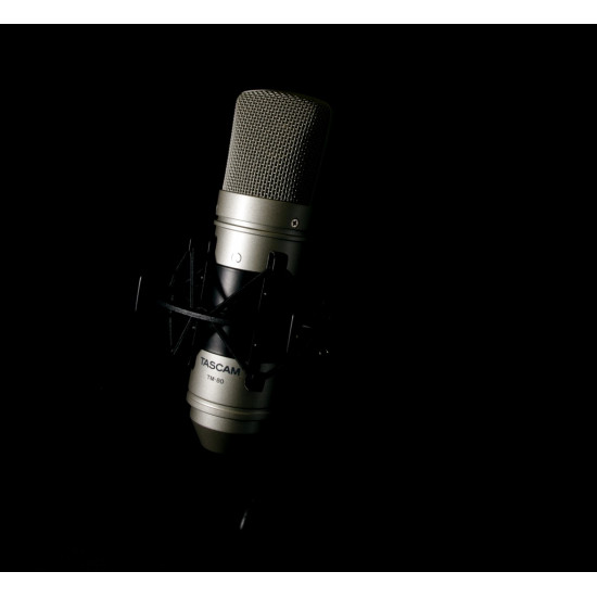 Tascam TM-80 microphone Gold Studio microphone