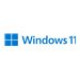 MS Windows 11 Pro FPP 64-bit Eng Intl USB