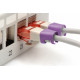 Digitus | Color clips for Patch cable | A-CC-VI | Violet