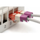 Digitus | Color clips for Patch cable | A-CC-MG | Magenta