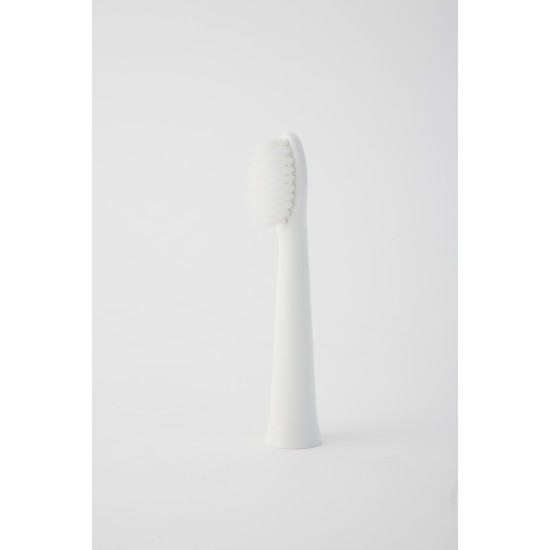 Panasonic | Brush Head | WEW0972W503 | Heads | For adults | Number of brush heads included 2 | Number of teeth brushing modes Does not apply | White