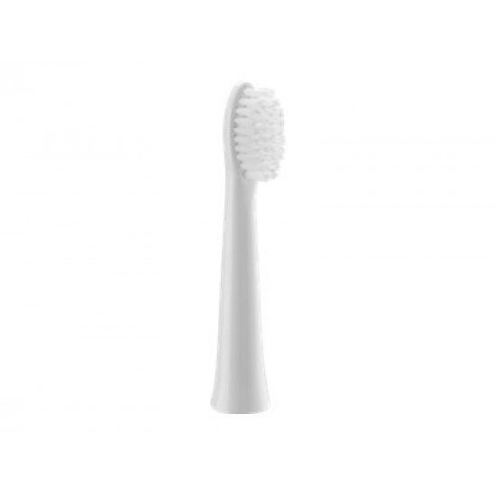 Panasonic | Brush Head | WEW0972W503 | Heads | For adults | Number of brush heads included 2 | Number of teeth brushing modes Does not apply | White