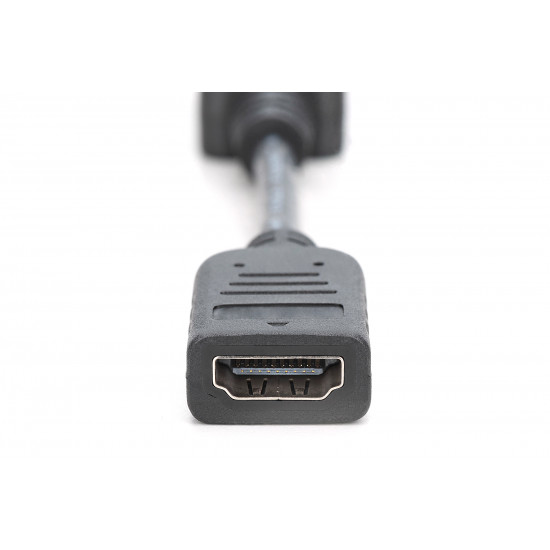 Digitus DisplayPort Adapter/Converter | AK-340400-001-S