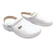 Clog Racy shoes by Scholl WHITE  42