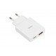 iBOX C-43 Slim GaN PD30W Wall charger, White