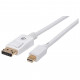 Display Port to Mini Display Port M/M 2m Cable