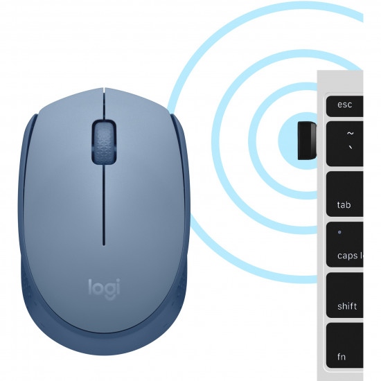 Logitech M171 Mouse right and left-handed optical 3 buttons wireless 2.4 GHz USB wireless receiver blue/grey