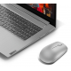 Lenovo | Wireless Mouse | 530 | Optical Mouse | 2.4 GHz Wireless via Nano USB | Platinum Grey | 1 year(s)