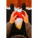 MICROSOFT XBOX Wireless Controller Pulse Red