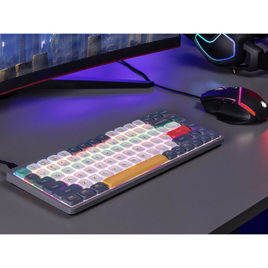 Mechanical keyboard Tracer FINA 84 Grey (Outemu Red Switch) TRAKLA47279