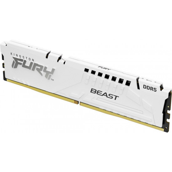 Kingston | 32 GB | DDR5 | 6000 MHz | PC/server | Registered No | ECC Yes