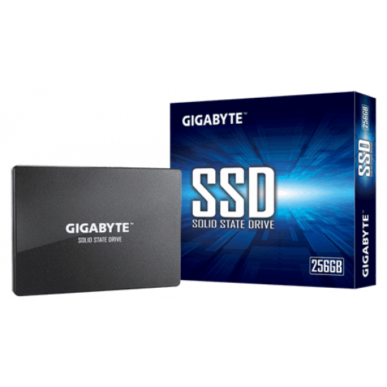 Gigabyte | GP-GSTFS31256GTND | 256 GB | Solid-state drive interface SATA | Read speed 520 MB/s | Write speed 500 MB/s