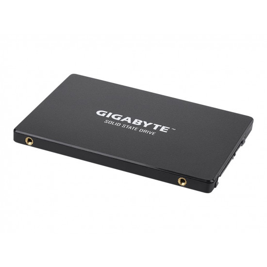 Gigabyte | GP-GSTFS31256GTND | 256 GB | Solid-state drive interface SATA | Read speed 520 MB/s | Write speed 500 MB/s