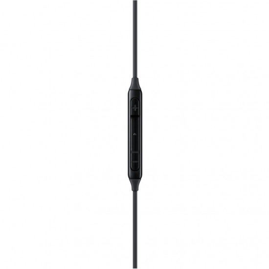 Samsung Earphones USB-C EO-IC100 in-ear black