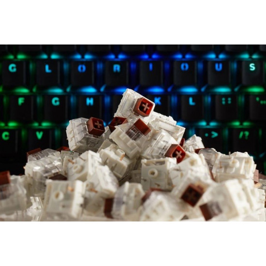 Glorious Kailh Box Brown Switches (120 pieces)