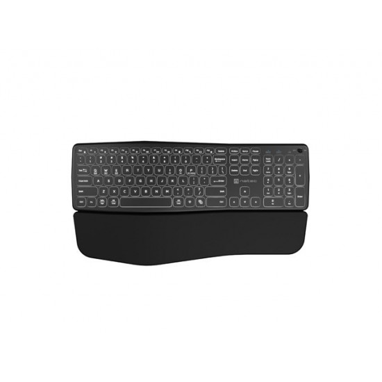 NATEC PORIFERA keyboard Home/Office Bluetooth QWERTY US International Black