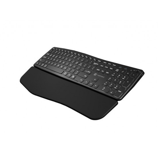 NATEC PORIFERA keyboard Home/Office Bluetooth QWERTY US International Black