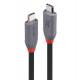 Lindy 1.5m USB 4 240W Type C Cable, Anthra Line