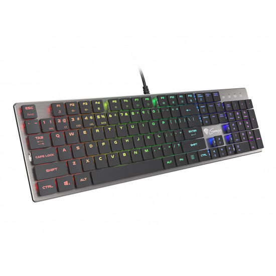 GENESIS Thor 420 RGB keyboard Gaming USB QWERTY US International Silver