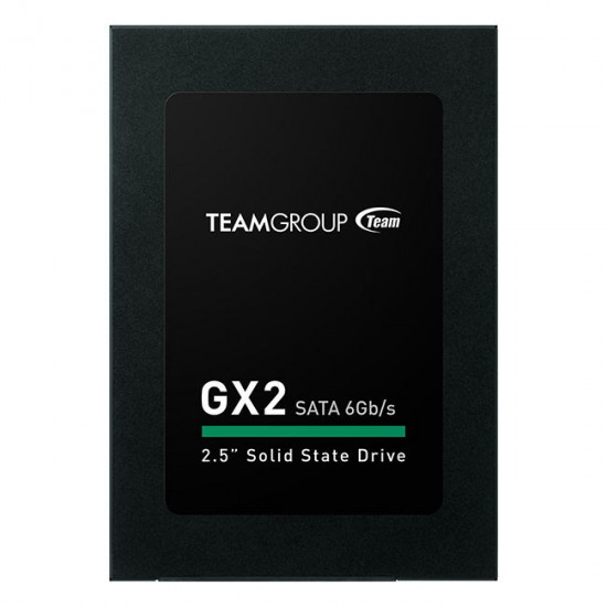 Team Group GX2 2.5 256 GB Serial ATA III