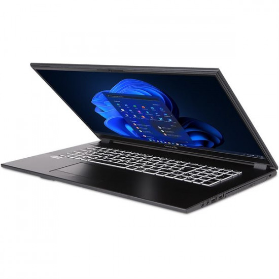 Wortmann AG TERRA MOBILE US1220786 laptop Intel® Core™ i5 i5-1235U 43.9 cm (17.3) Full HD 8 GB DDR4-SDRAM 500 GB SSD Wi-Fi 6 (802.11ax) Windows 11 Pro Anthracite