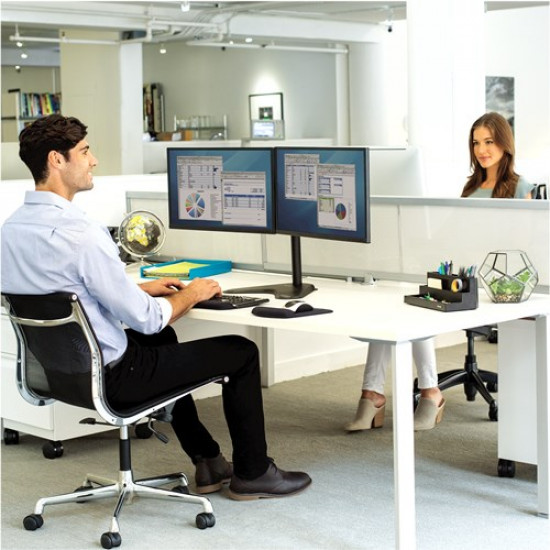 Fellowes Ergonomics freestanding arm for 2 monitors - horizontal Seasa - former Professional Series™.