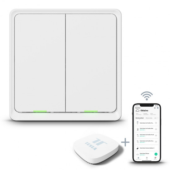 Double switch with battery TESLA TSL-SWI-SCENEZG2 Smart Switch Dual Battery