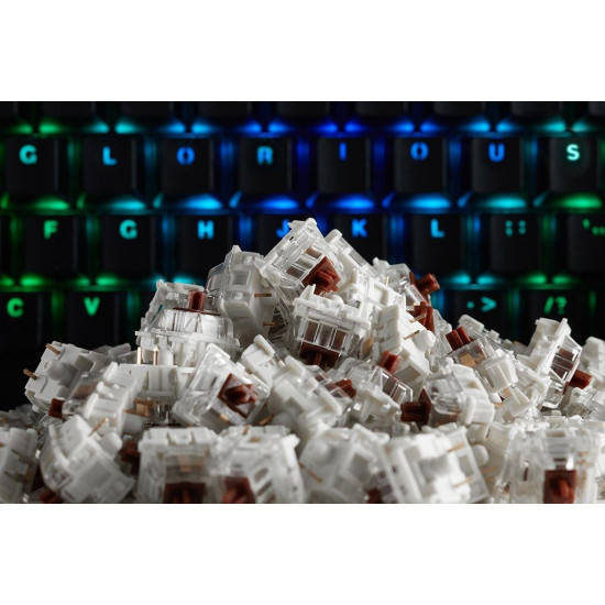 Glorious Gateron Brown Switches (120 pieces)