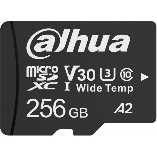 256GB Memory Card DAHUA TF-W100-256GB