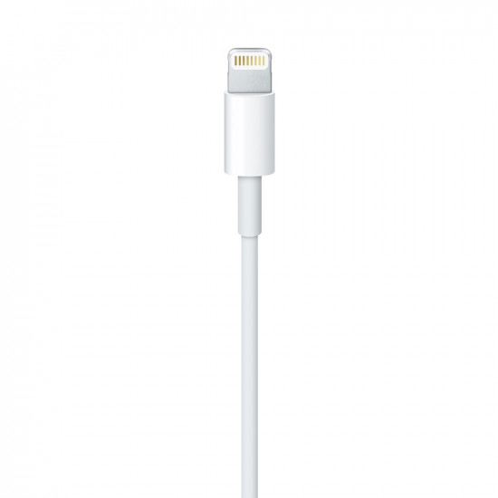 Apple Lightning to USB Cable (1В m)