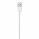 Apple Lightning to USB Cable (1В m)