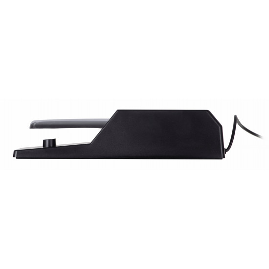 M-AUDIO SP-2 Sustain pedal 6.35 mm