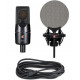 sE Electronics X1 S Vocal Pack Black Studio microphone