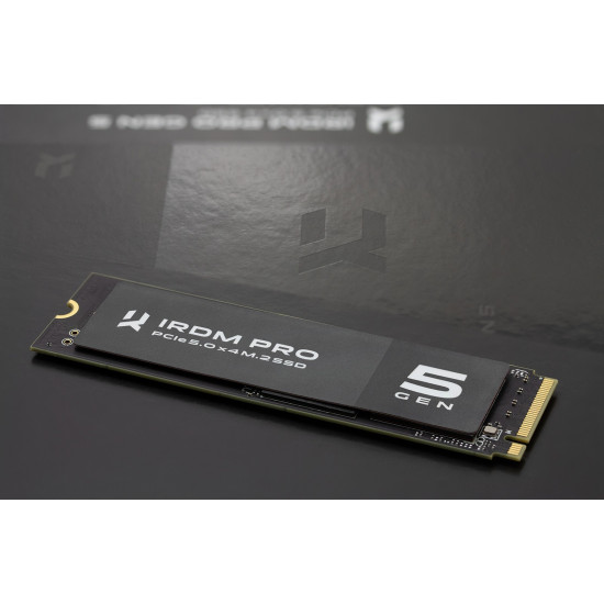 SSD IRDM PRO P54S Gen5 1TB 5x4 2280 5x4 2280 11500/9000MB/s