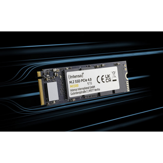 Intenso 3836460 internal solid state drive 1 TB M.2 PCI Express 4.0 NVMe