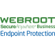 Webroot | Business Endpoint Protection with GSM Console | Antivirus Business Edition | 1 year(s) | License quantity 1-9 user(s)