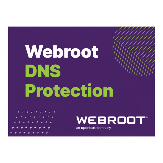 Webroot | DNS Protection with GSM Console | 1 year(s) | License quantity 1-9 user(s)