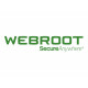 Webroot | DNS Protection with GSM Console | 1 year(s) | License quantity 1-9 user(s)