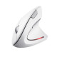 Trust Verto Vertical Ergonomic wireless mouse white (25132)